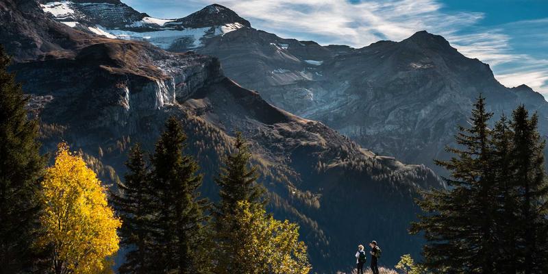 从旅行到餐桌：家庭饮用水安全指南与不同净水方式的深度比较