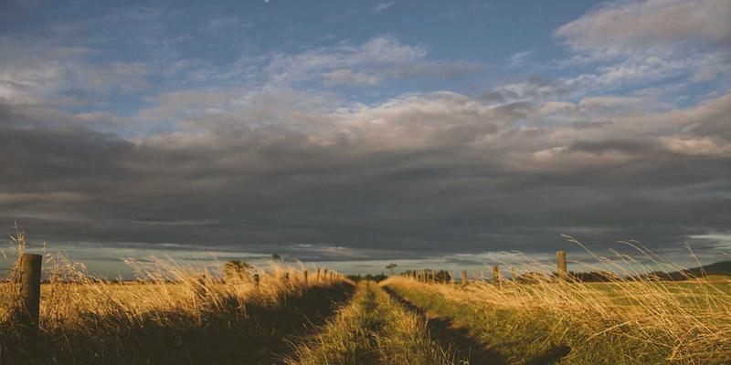 从美食与健康出发：构建72小时家庭应急物资储备的智慧清单