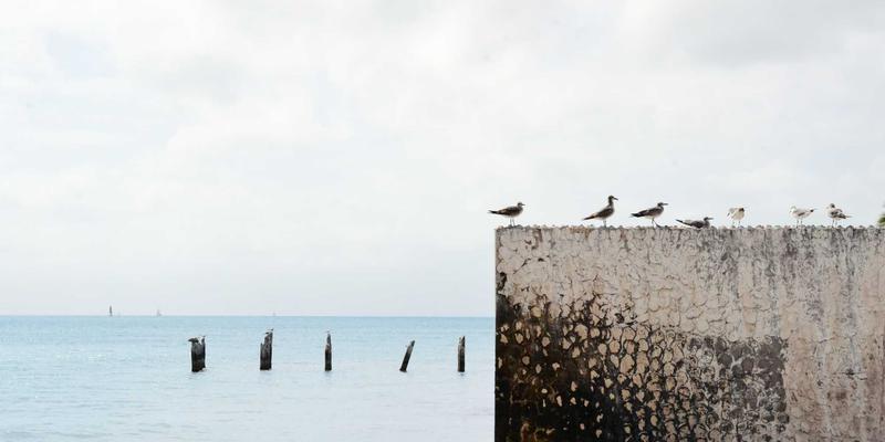 从美食出发，开启你的生活资讯探索之旅