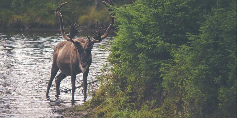 健康生活与旅行：三种生活方式如何重塑你的身心平衡