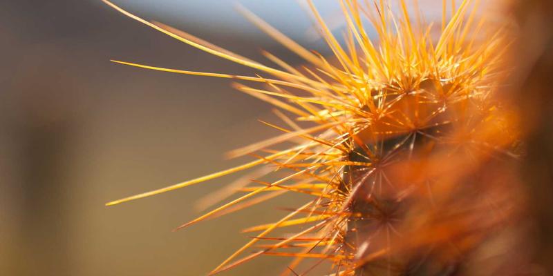 在家高效远程办公：用美食、旅行与生活资讯打造理想工作区与平衡之道