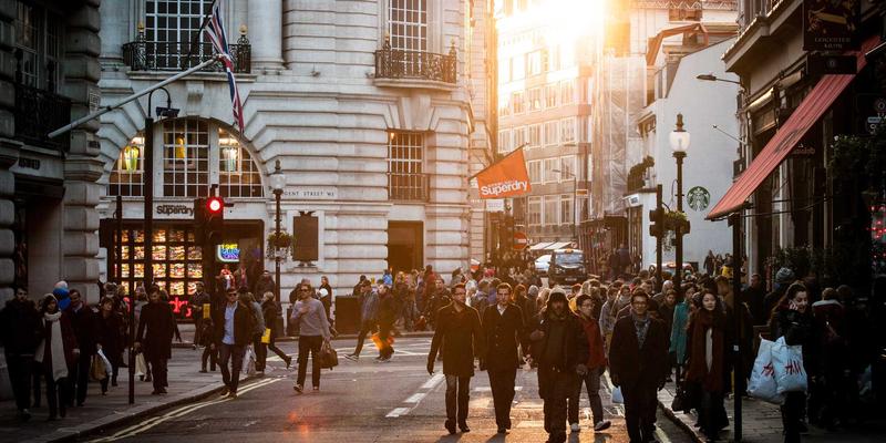宠物友好生活指南：打造城市健康生活与休闲娱乐新方式
