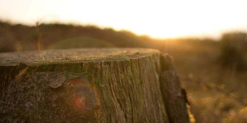 平衡的艺术:如何将健康生活、休闲娱乐与旅行完美融合