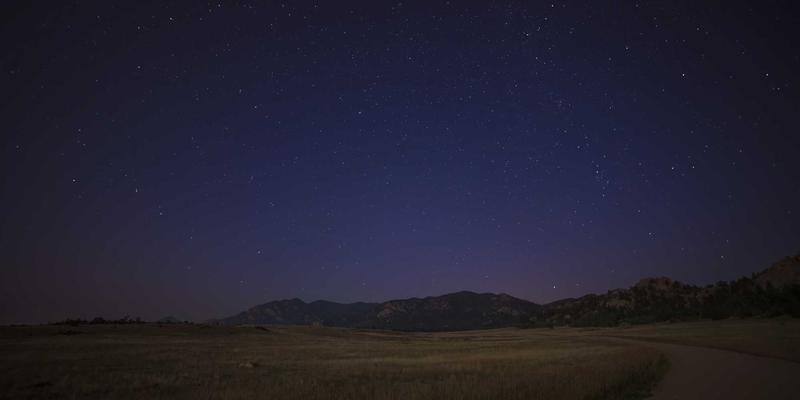 打造宠物友好社区：从休闲娱乐到生活方式的全面升级指南