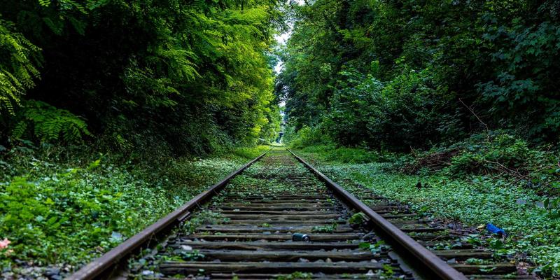 数字断舍离：管理手机应用、社交媒体与云端数据的实用技巧，重获生活专注力