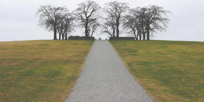 新手爸妈的0-1岁婴儿护理知识清单：打造健康生活方式的育儿美食与日常智慧