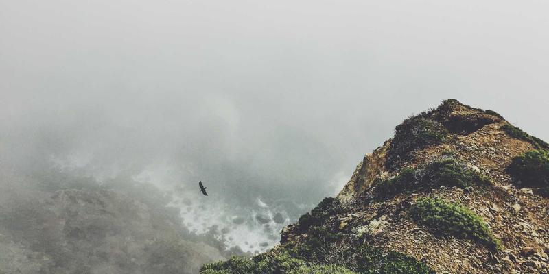 旅行与健康生活新主张：掌握个人数据资产管理，守护你的数字记忆与生活方式