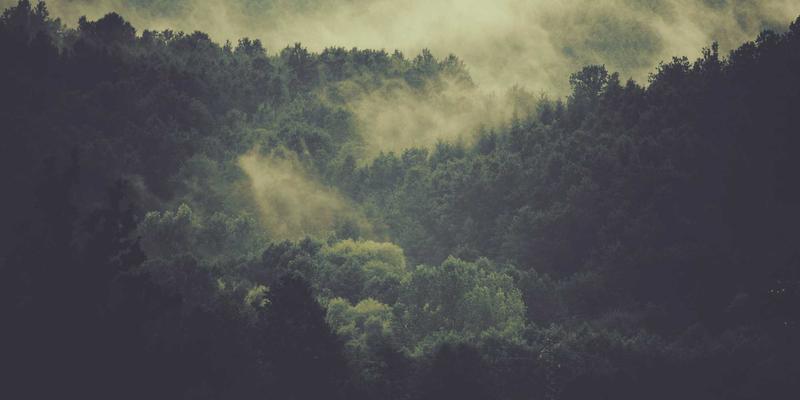 智能家居设备深度评测：用科技点亮生活资讯，打造休闲娱乐与美食新体验