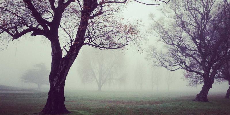 生活资讯40:解锁旅行与休闲娱乐的完美融合指南