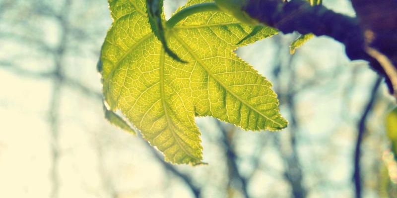 生活资讯怎么用？三大场景解锁娱乐活动与休闲娱乐新体验