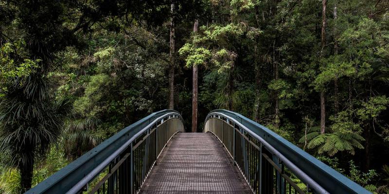生活资讯新视野：解锁娱乐活动与旅行的创意融合