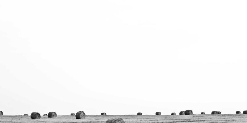 社区团购：如何聪明参与，平衡健康生活、娱乐活动与旅行预算