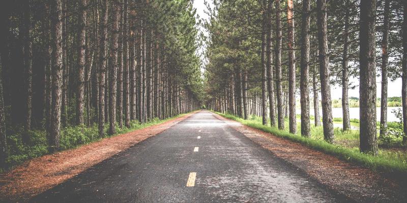 社区团购避坑指南：挑选新鲜食材的旅行式智慧与健康生活省钱技巧