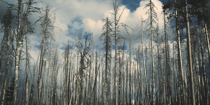 职场妈妈如何平衡工作与家庭生活时间？3个实用策略与旅行生活资讯