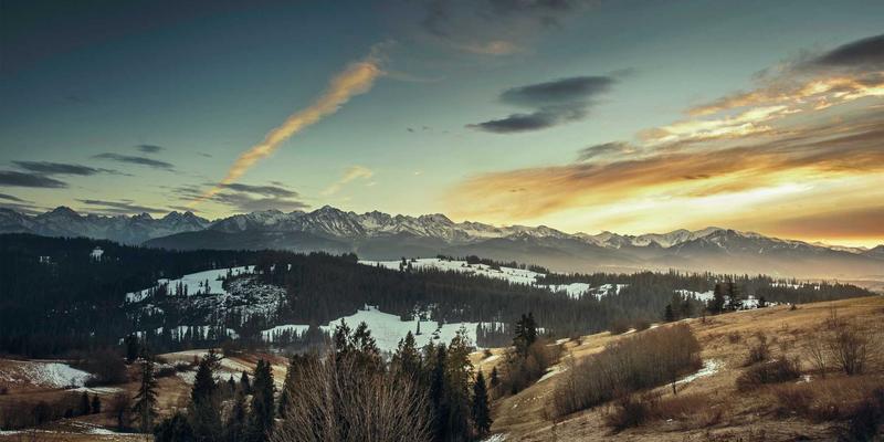 解码健康生活：现代生活资讯如何重塑你的生活方式