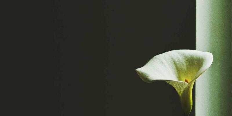 解锁城市新玩法：休闲娱乐如何重塑现代生活资讯版图