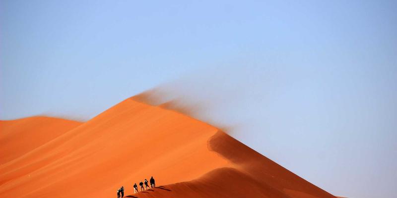跟着时令去生活：本土季节性食材月度指南，打造家庭餐桌上的旅行与休闲