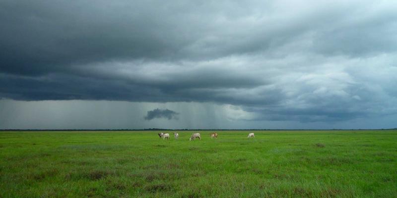 阳台种植入门：连接旅行灵感与健康生活的四季栽培指南